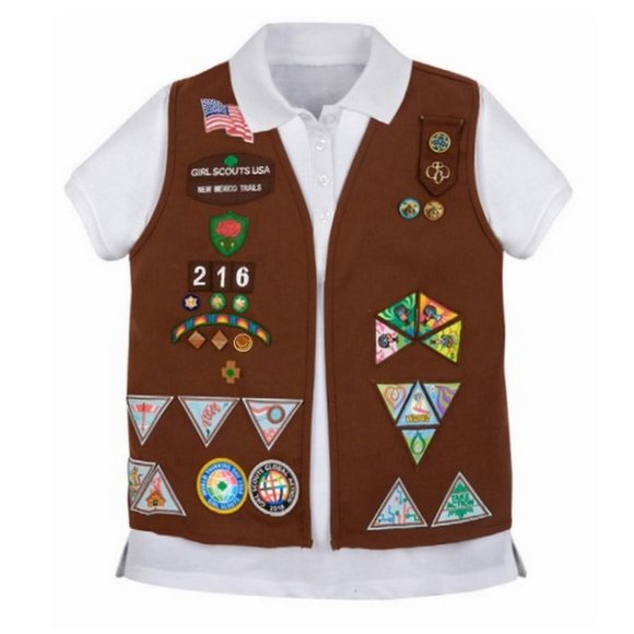 🆕 NEW Girl Scouts "Wow Wonders of Water" Iron On Patches Brownie Journey Award - Picture 4 of 6